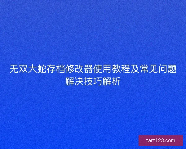 无双大蛇存档修改器使用教程及常见问题解决技巧解析